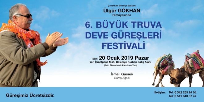 6. Büyük Truva Deve Güreşleri Festivali 19-20 Ocak Tarihlerinde Gerçekleşecek