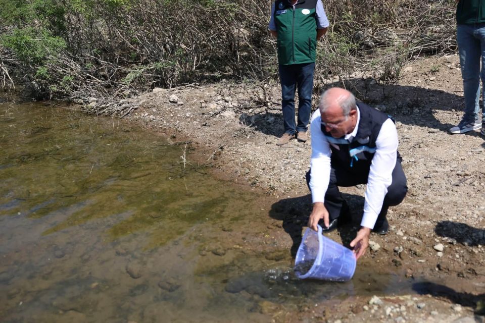 Atikhisar Barajı’na 348 Bin Sazan Yavrusu Bırakıldı