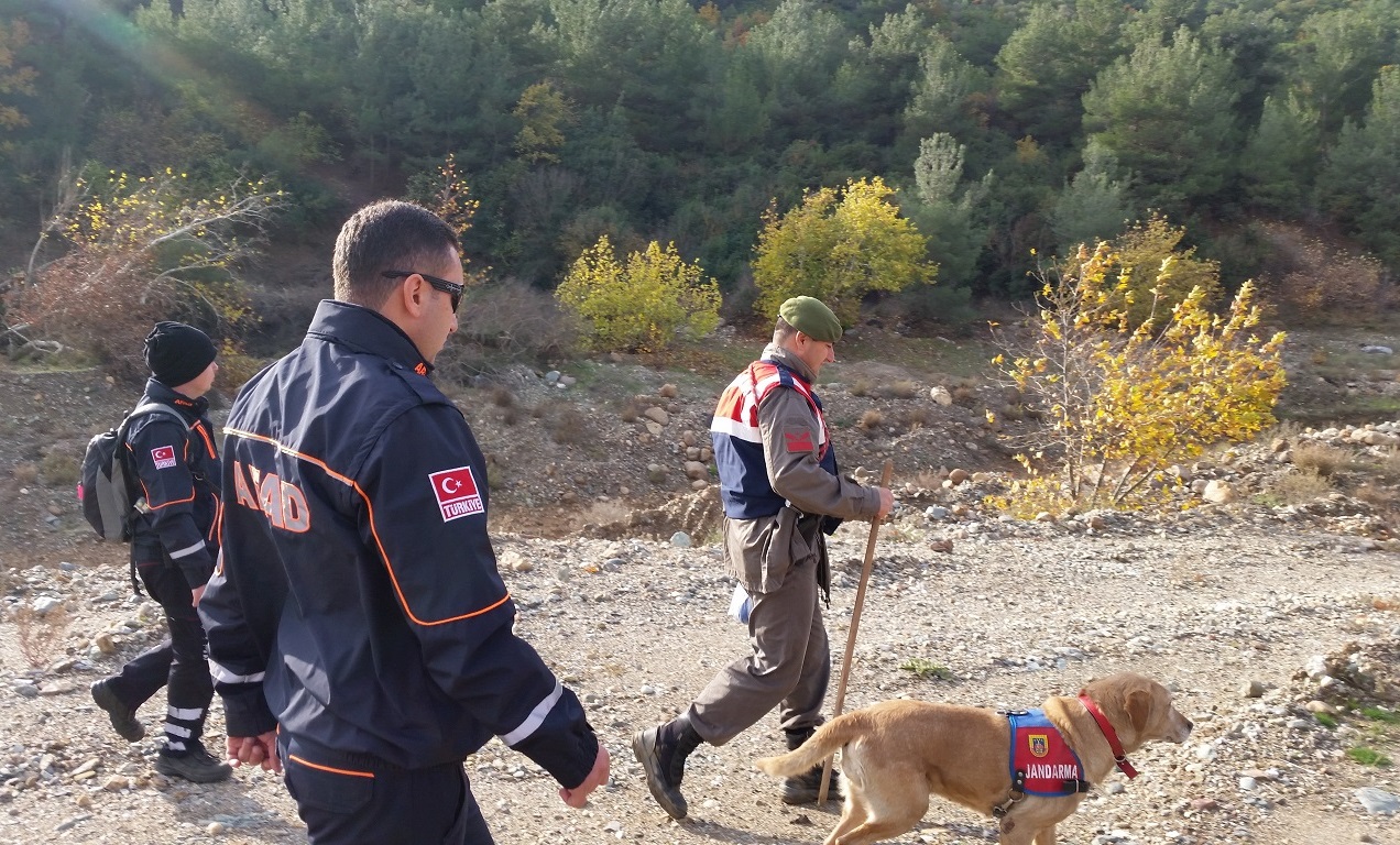 Çanakkale'de Kaybolan Yaşlı Adam AFAD ve Jandarma Ekiplerince Bulundu