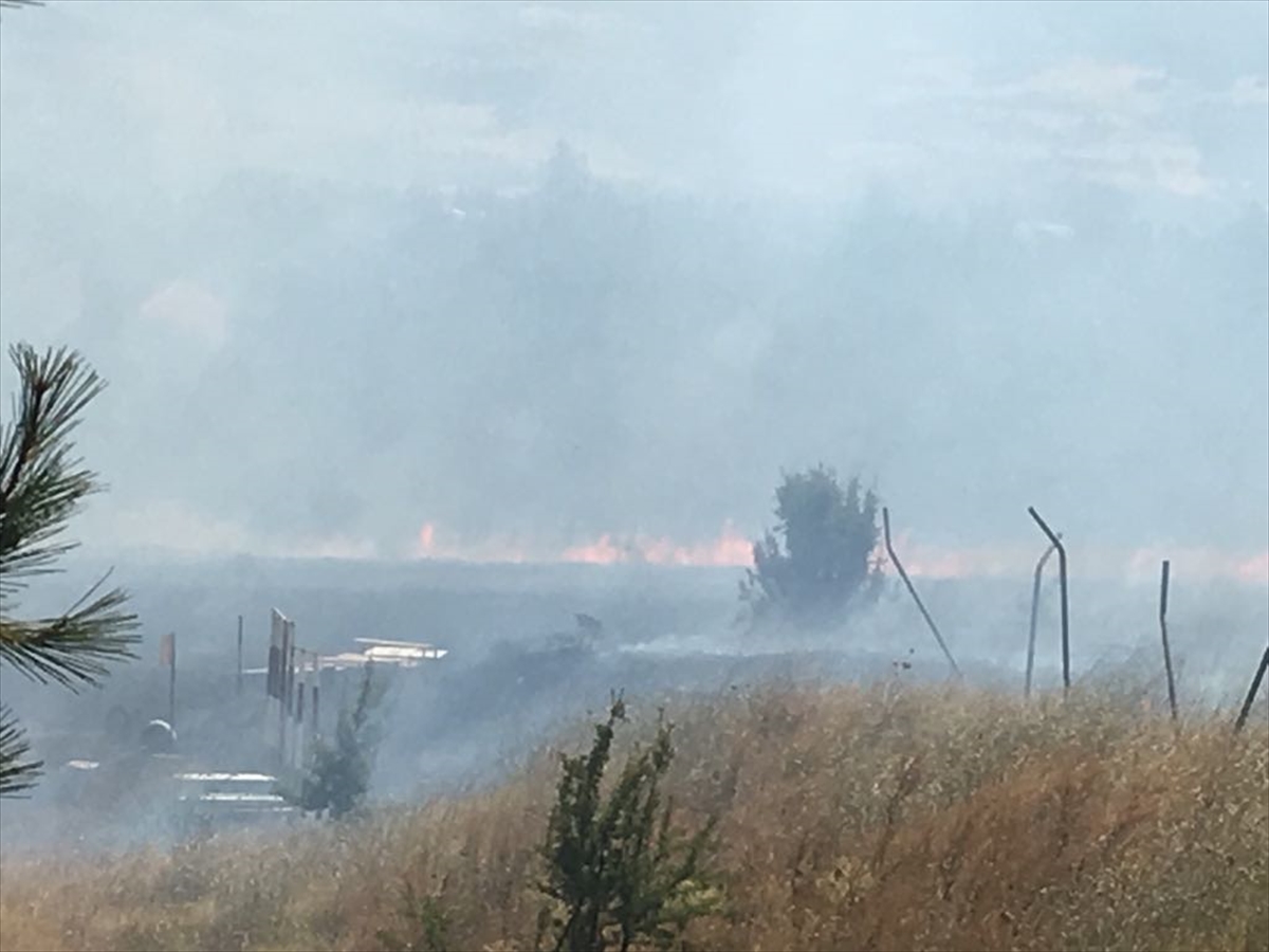 Çanakkale'de Orman Yangını