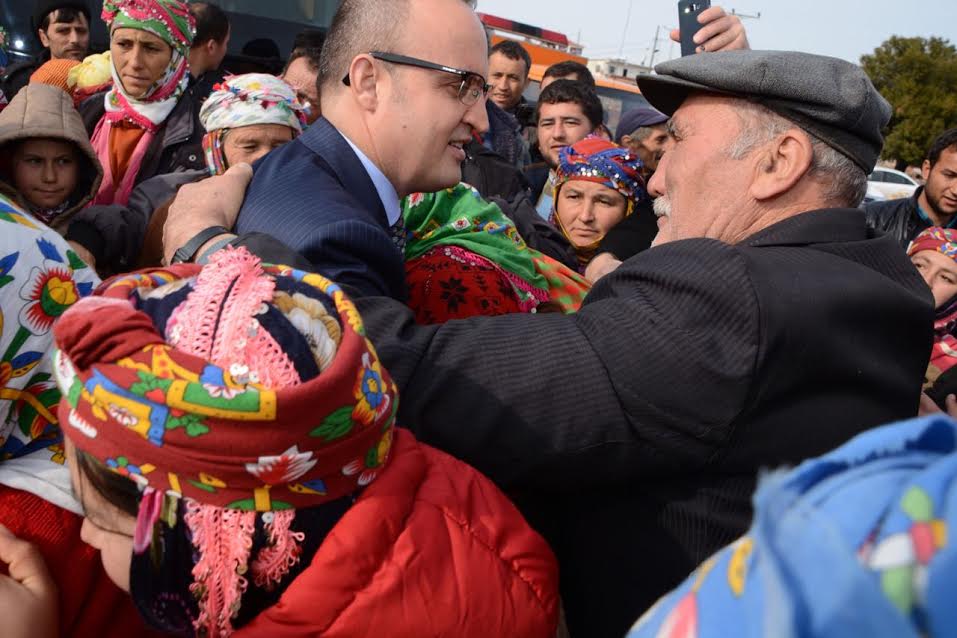 Gelibolu'da zeytinlik yangını