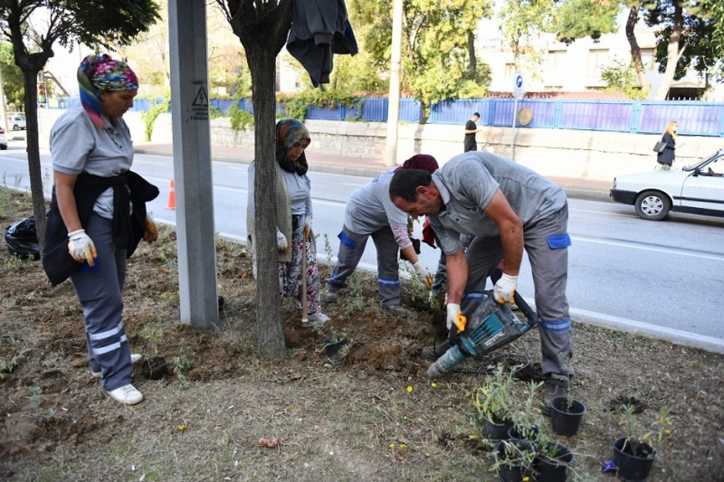 Atikhisar Caddesi Lavantalar İle Donatıldı