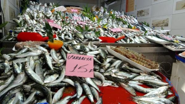 Balıkçılar ve Vatandaşlar Balık Sezonundan Umduğunu Bulamadı