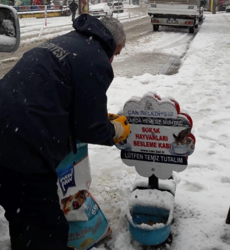 Çan Belediyesi Sokak Hayvanlarını Unutmadı 