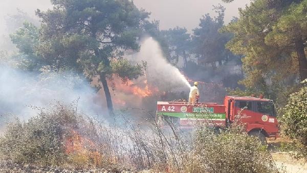 Çanakkale'de Orman Yangını 