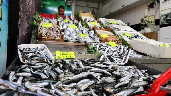 Çanakkale'de, Yeni Av Sezonunun Başlamasıyla Birlikte, Balık Tezgahları Doldu