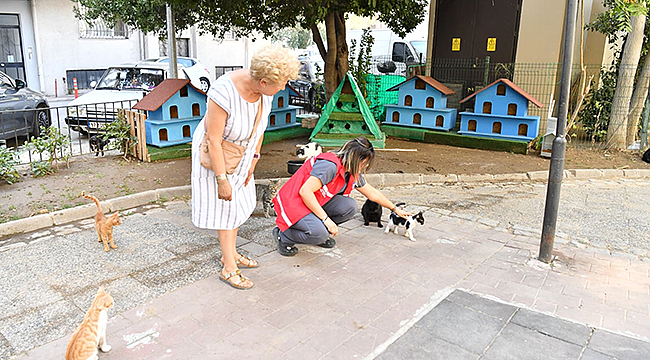 Halk Bahçesi'nde Bulunan Kedi Evinin Taşınmasına İlişkin Bilgilendirme