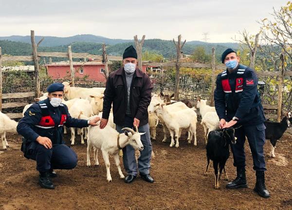 Jandarma, Kayıp Koyunları Dronla Buldu