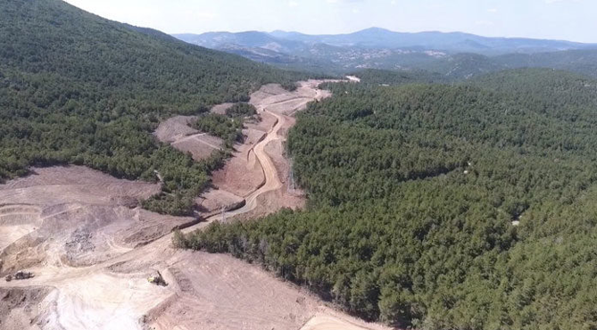 Kaz Dağları'nda binlerce ağacın kesimine tepki olarak 