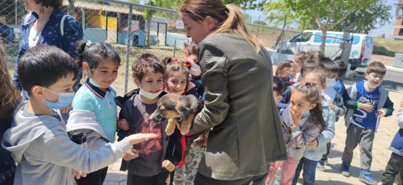 Minik Öğrencilerden Can Dostlara Ziyaret