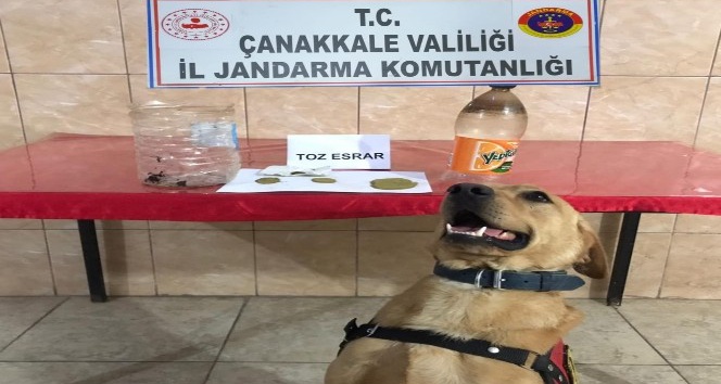 'Roket'le Yapılan Aramada Uyuşturucu Bulundu; 1 Tutuklama