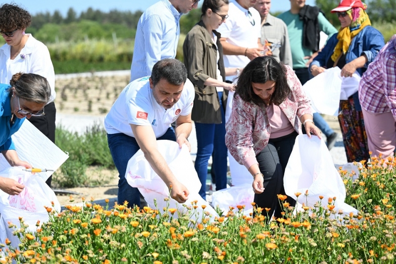 TARİHİ ALAN’DA ‘GAZİ KÖYLERDE ŞİFA ÇİÇEKLERİ AÇIYOR’ PROJESİ HAYATA GEÇİRİLDİ