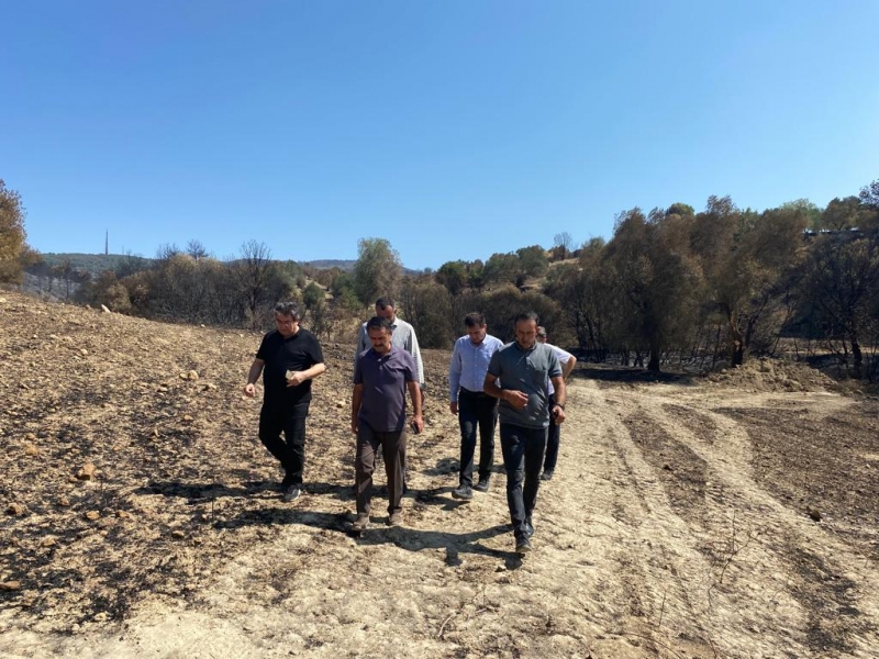 Vali Aktaş, Yangından Etkilenen Köyleri Ziyaret Etti