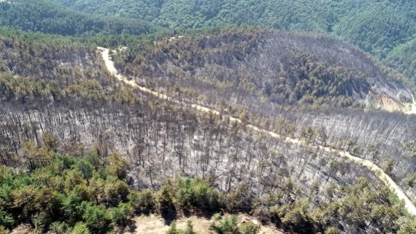 Yanan Ormanlık Alan Havadan Görüntülendi 