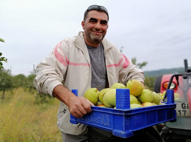 'Yetişmez' Denilen Yerde 40 Ton Deveci Armudu Üretti