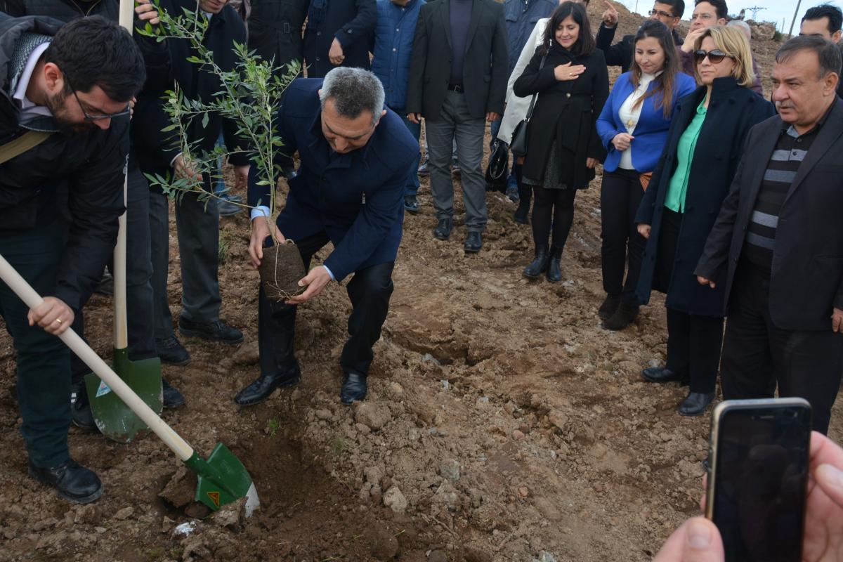 Sami Yavaş  Umurbey'de  55 Adet Taksi Plakasını Kimlere Sattı?