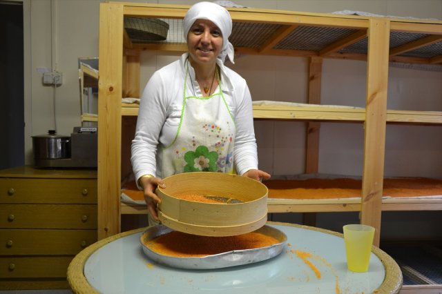 Biga'nın Tarhanasını Restoran Zincirine Satıyorlar