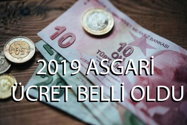 2019 Asgari Ücret Belli Oldu