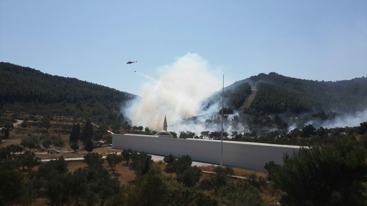 Gelibolu Yarımadası'nda orman yangını