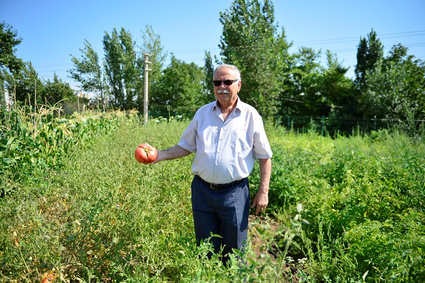 Tohum Sandığında İlk Hasat Yapıldı