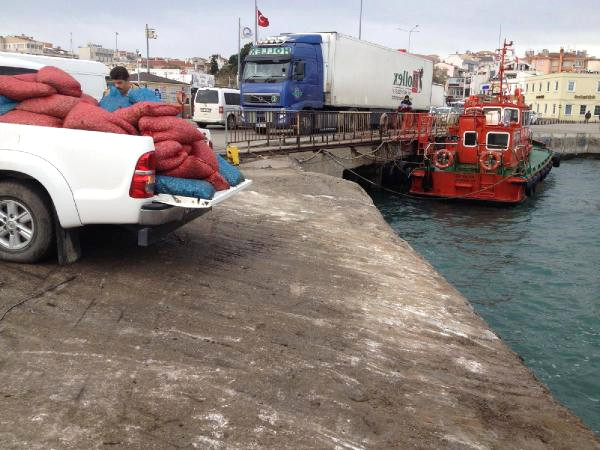 Gelibolu'da 2,5 Ton Kum Midyesi ve 400 Kilo Deniz Patlıcanı Ele Geçirildi