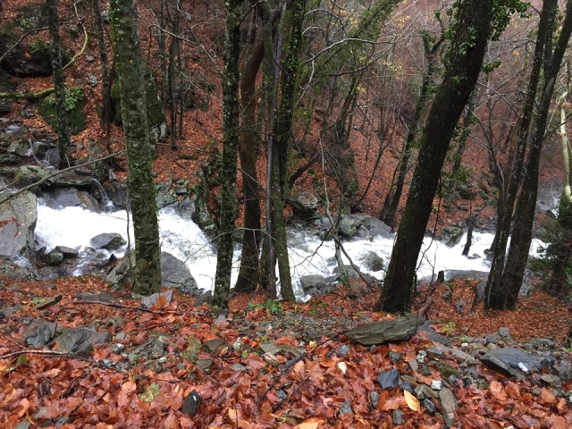 Kazdağlarında Küçük Şelaleler, Çağlayanlara Dönüştü