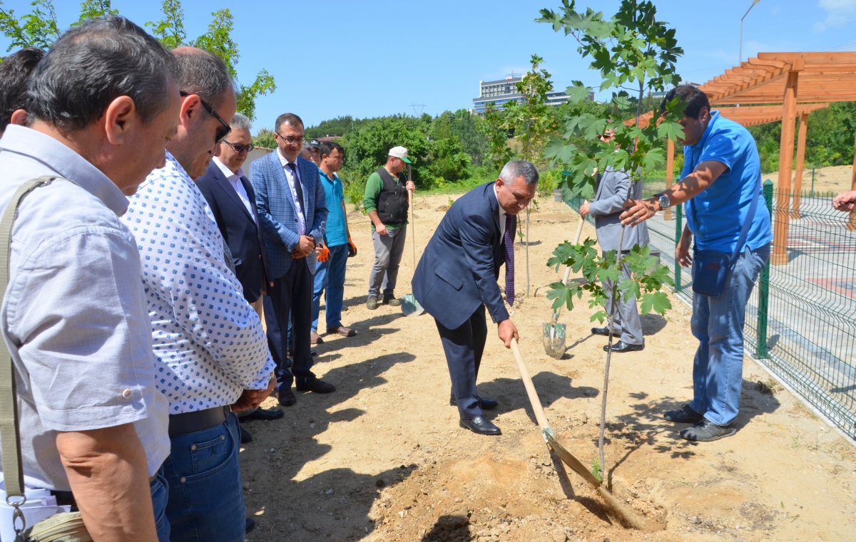 Geleneksel Okçuluk Alanı Çevresine Fidan Dikimi Gerçekleştirdi