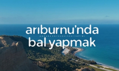 Arıburnu'nda Bal Yapmak