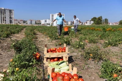 'Atalardan Toprağa, Topraktan Sofraya'