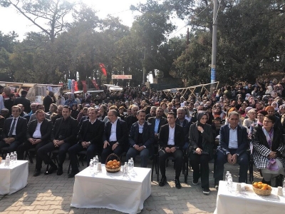 Ayvacık’da Zeytin Hasat Şenliği Yapıldı