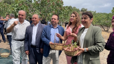 Başkan Üzen Antep Fıstığı Hasat Şenliğine Katıldı