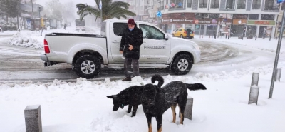 Çanakkale Belediyesi, Can Dostlarını Unutmadı