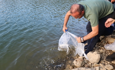 ÇANAKKALE GÖLETLERİNE 400 BİN YAVRU BALIK