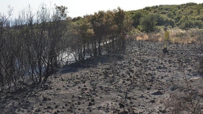 Çanakkale'de  makilik yangını
