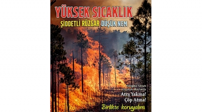 Çanakkale'de orman yangınları artıyor: Büyük çoğunluğu insan kaynaklı