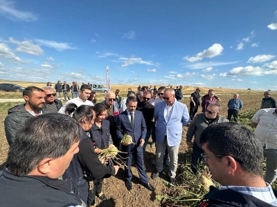 Çıplak Köyünde Şeker Pancarı İlk Hasat Tarla Günü Etkinliği Gerçekleştirildi