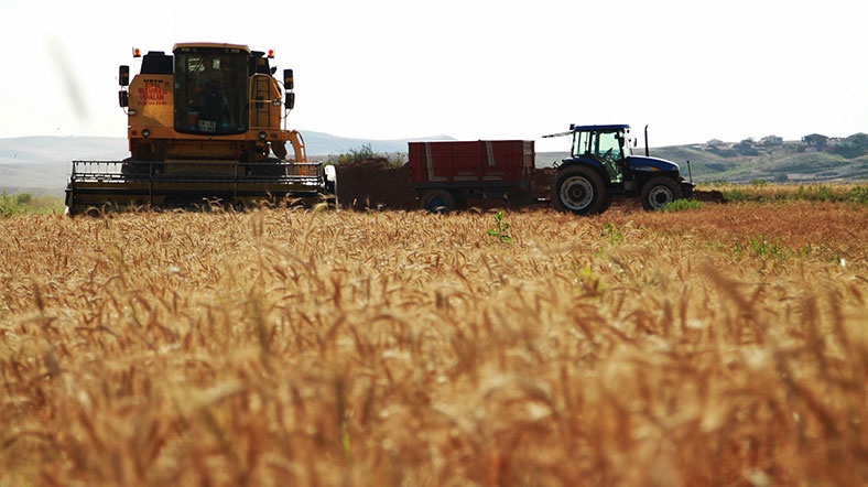 Çiftçilere 4,2 Milyar Liralık Destek Ödemesi