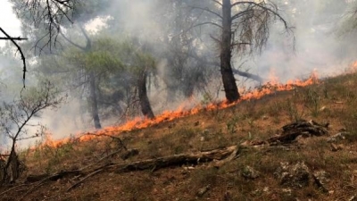 Ezine'de Ormanlık Alanda Yangın; 1 Hektar Yandı