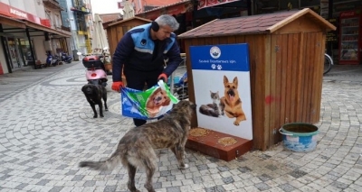 Ezine'de Sokak Hayvanları Unutulmadı