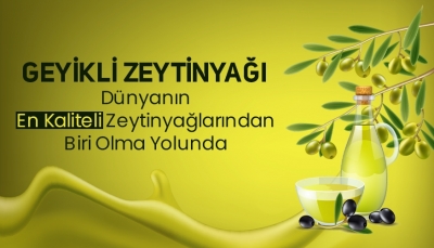 Geyikli Zeytinyağı Dünyanın En Kaliteli Zeytinyağlarından Biri Olma Yolunda