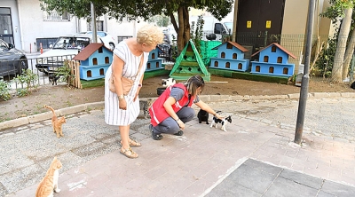 Halk Bahçesi'nde Bulunan Kedi Evinin Taşınmasına İlişkin Bilgilendirme
