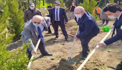 Kadınlar Günü İçin Fidan Dikim Etkinliği Yapıldı