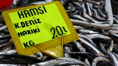 Karadeniz Hamsisinin Kilogram Fiyatında Düşüş Sürüyor