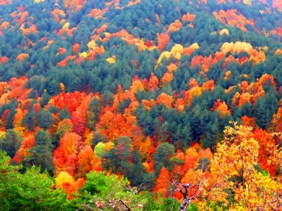 Kaz Dağları Sonbaharda Rengarenk