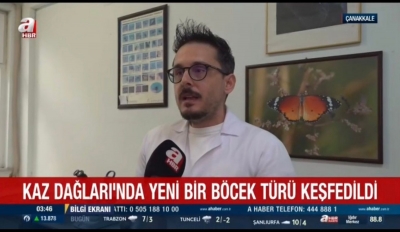 Kaz Dağlarında Yeni Bir Böcek Türü Keşfedildi