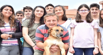 Öğrenciler Kanserli Köpeği Tedavi Ettirdi