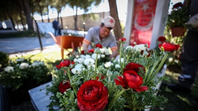 Şehit Mezarlarına Kırmızı-Beyaz 11 Bin Şakayık Dikildi