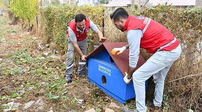 Sokak Hayvanları için Gönüllülerle El Ele