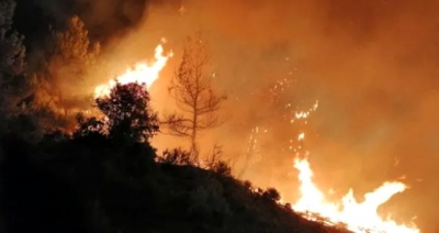 Tarihi Gelibolu Yarımadası'nda Korkutan Orman Yangını!