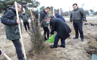 Toprağı Vatan Yapan Yiğitlerin Yeşeren Fidanları